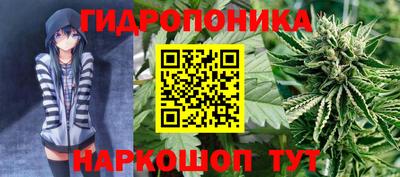 крисы Кимры