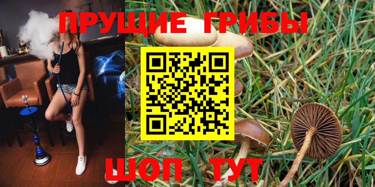 Псилоцибиновые грибы ЛСД Конаково