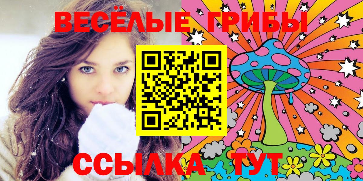 Галлюциногенные грибы MAGIC MUSHROOMS  Вход с VPN  Конаково  Галлюциногенные грибы мицелий 